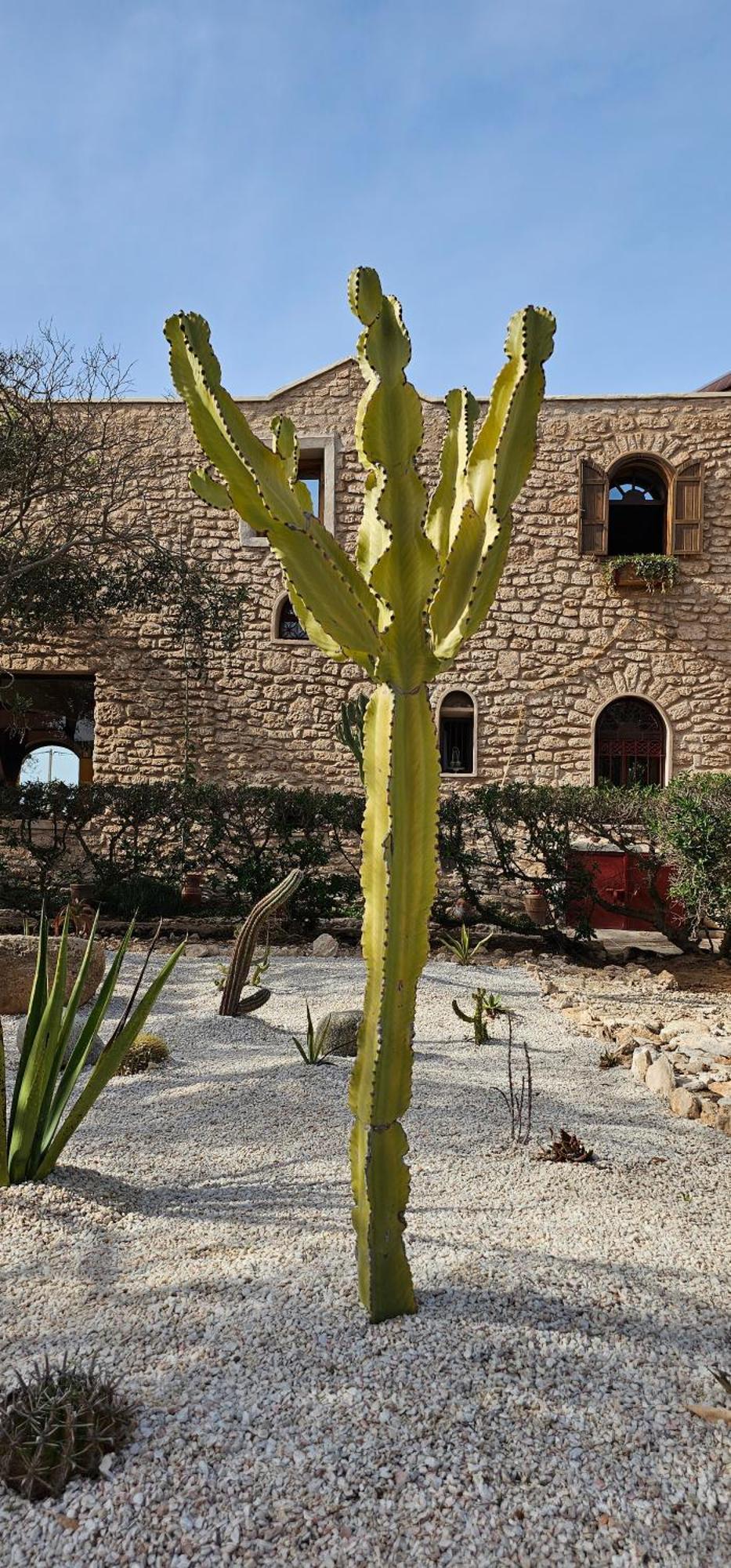 Hotel Golden Baibah Zaouia Akermoud Esterno foto