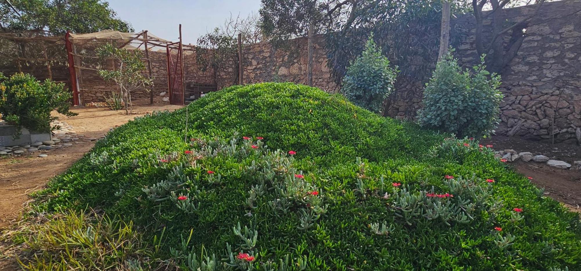 Hotel Golden Baibah Zaouia Akermoud Esterno foto